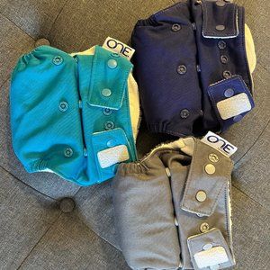 O.N.E. CLOTH DIAPER Grovia (3)